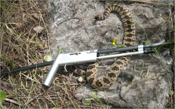 Pack-Rifle Hunting: Snake. 